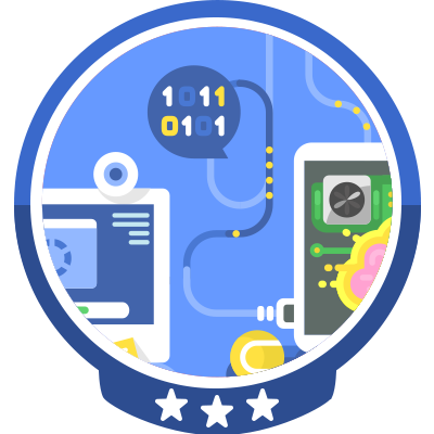 Number Systems Badge